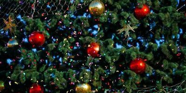 Прошлая ночь во Владивостоке стала самой холодной с начала декабря