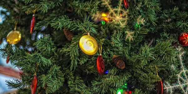 Обещанное потепление пришло в Приморье