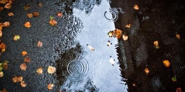 Дождливая погода вернется в Приморье в среду