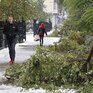Первый снегопад обрушился на Кемерово: поваленные деревья и ДТП