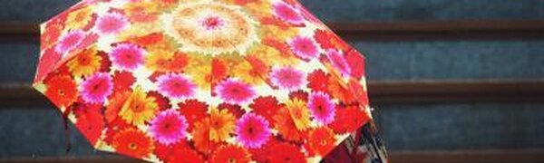 Дожди, местами сильные, ожидаются в Приморье 4 октября 