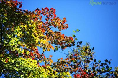 Сентябрь попрощался с Приморьем теплой погодой