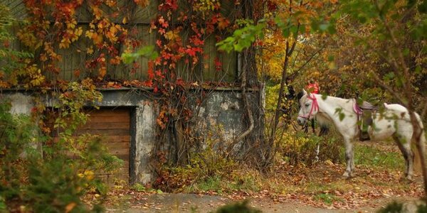 Первые выходные октября в Приморье удивят контрастной погодой