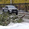 Первый снегопад обрушился на Кемерово: поваленные деревья и ДТП