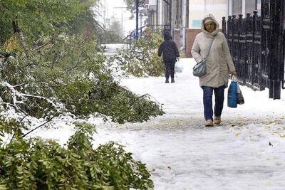 Первый снегопад обрушился на Кемерово: поваленные деревья и ДТП