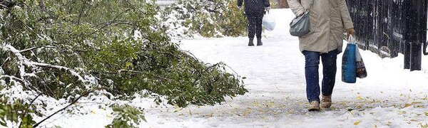 Первый снегопад обрушился на Кемерово: поваленные деревья и ДТП