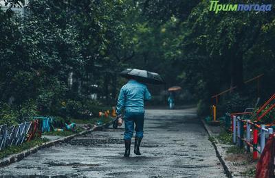 Дожди различной интенсивности пройдут в Приморье во вторник