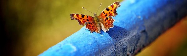 На следующей неделе в Приморье вернётся спокойная и тёплая погода