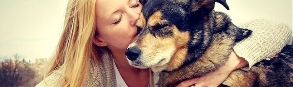 Сердца собак и их хозяев бьются в унисон