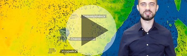 Прогноз погоды в Приморье на выходные дни (ВИДЕО)