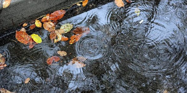 В конце недели во Владивостоке начнётся период ненастной погоды