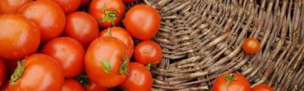 Ярмарка развернётся в центре Владивостока в пятницу и субботу