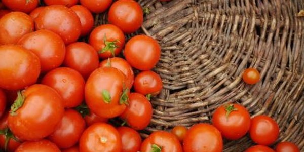 Ярмарка развернётся в центре Владивостока в пятницу и субботу