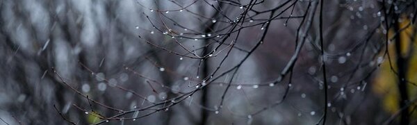 В выходные дни в Приморье пройдут дожди и похолодает