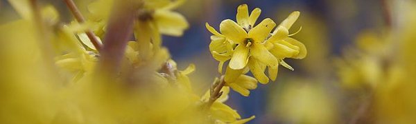 На майских выходных погода во Владивостоке улучшится