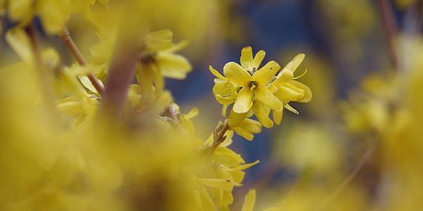 На майских выходных погода во Владивостоке улучшится