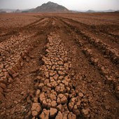 Засуха в китайской провинции Юньнань (ФОТО)