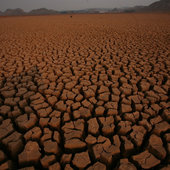 Засуха в китайской провинции Юньнань (ФОТО)