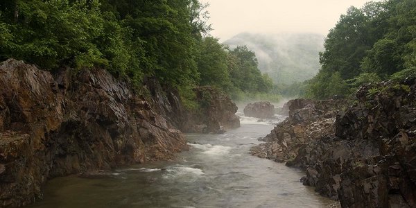 Реки северных районов Приморья поднялись на 20 см