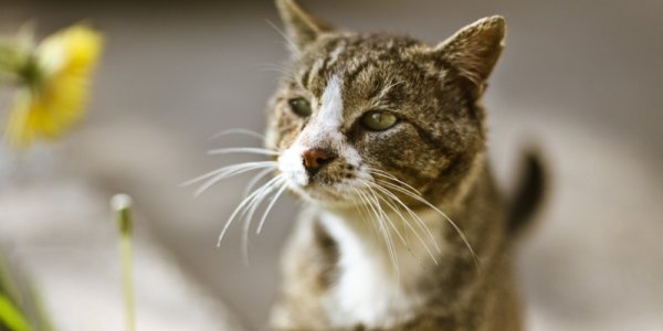Сегодня на большей части Приморья будет солнечно