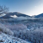 Январь в Сихотэ-Алинском заповеднике – холодный и ветреный