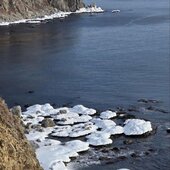 Январь в Сихотэ-Алинском заповеднике – холодный и ветреный