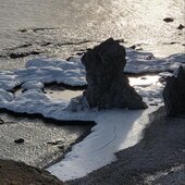 Январь в Сихотэ-Алинском заповеднике – холодный и ветреный