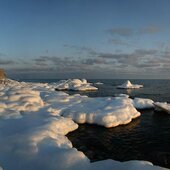 Январь в Сихотэ-Алинском заповеднике – холодный и ветреный