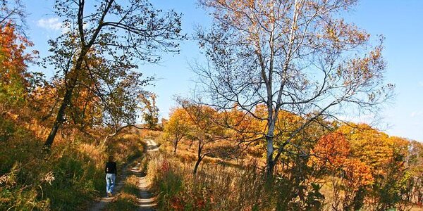 Солнечная прохладная погода пришла в Приморье