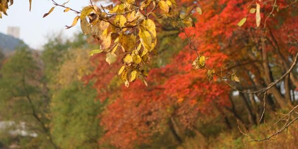 На выходных температуры превышали норму на 3 — 7 градусов