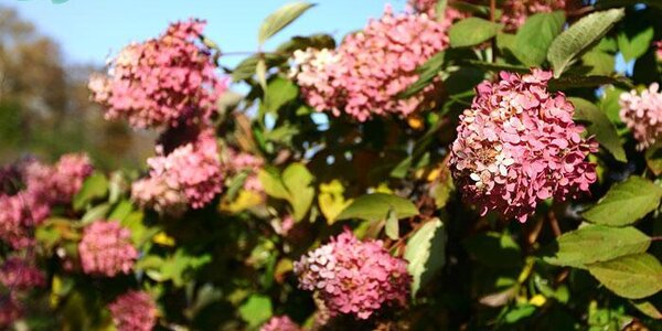 Завершение бархатного сезона на юге России прогнозируется в районе 10 октября