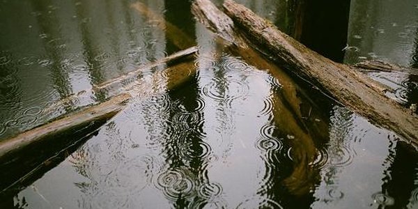 Из-за дождей на реках Приморья ожидается дополнительный подъём воды