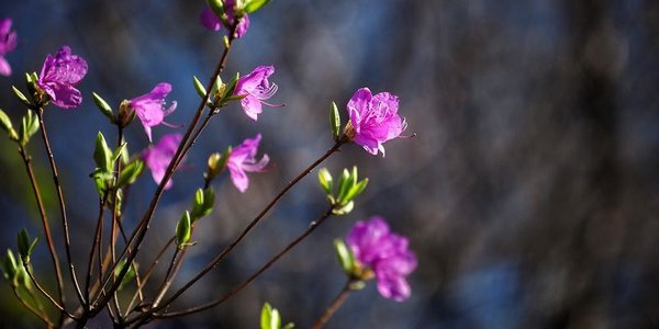 В четверг осадков в Приморье не ожидается