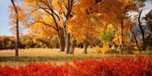 Вторая декада октября выдалась теплее обычного