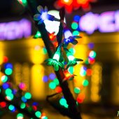 Владивосток готовится встречать Новый год (ФОТО)