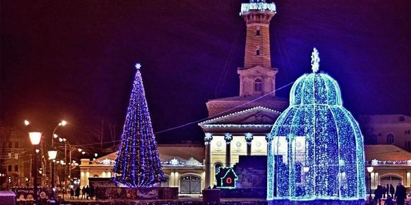 На Новый год в Костроме запустят в космос котлету