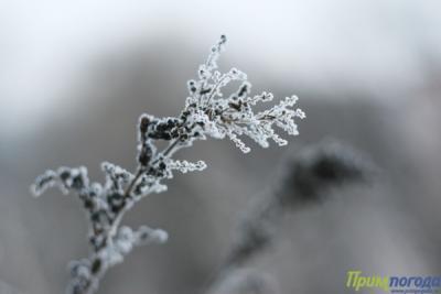 Прогноз погоды на выходные: ночные морозы усилятся в Приморье