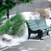 Первый день зимы в Приморье будет морозным
