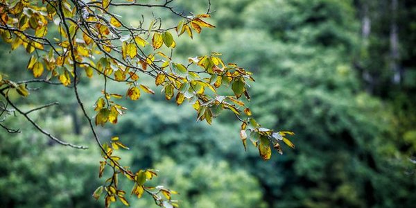 Во вторник во Владивостоке будет солнечно и до +26 °С