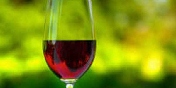 От парадонтита спасет красное вино