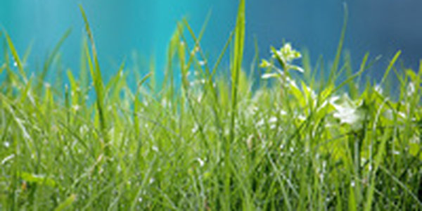 Сегодня во Владивостоке возможен дождь