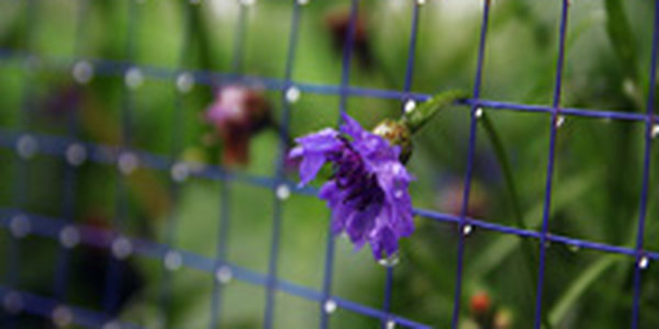 В пятницу в Приморье будет холодно и сыро