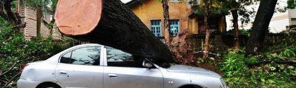 Тайфуны «Меранти» и «Малакас» оставили серьёзные разрушения на острове Тайвань