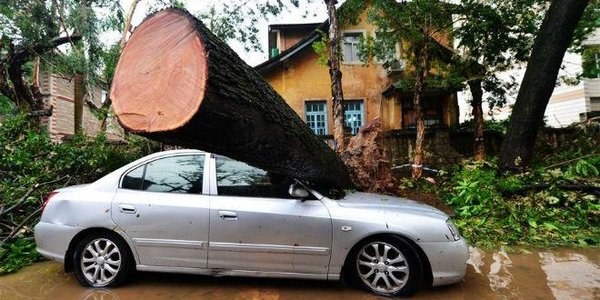 Тайфуны «Меранти» и «Малакас» оставили серьёзные разрушения на острове Тайвань