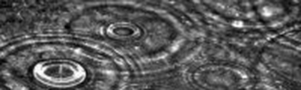 Нью-йоркский тренд — бочка для дождевой воды