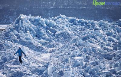 Снег, метель, штормовой ветер возможны во Владивостоке на следующей неделе