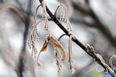 Декабрь в Приморье выдался аномально морозным