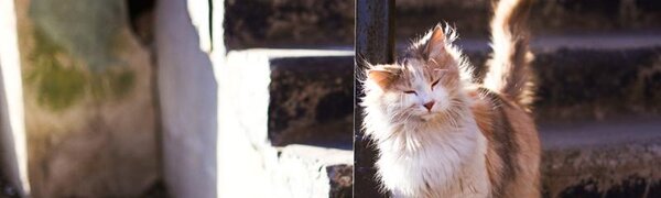 Озвучен прогноз погоды на выходные дни в Приморье