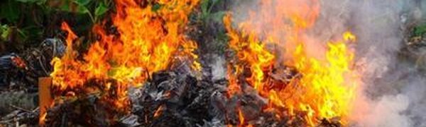 В Хасанском районе высокий класс пожарной опасности леса