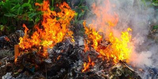 В Хасанском районе высокий класс пожарной опасности леса